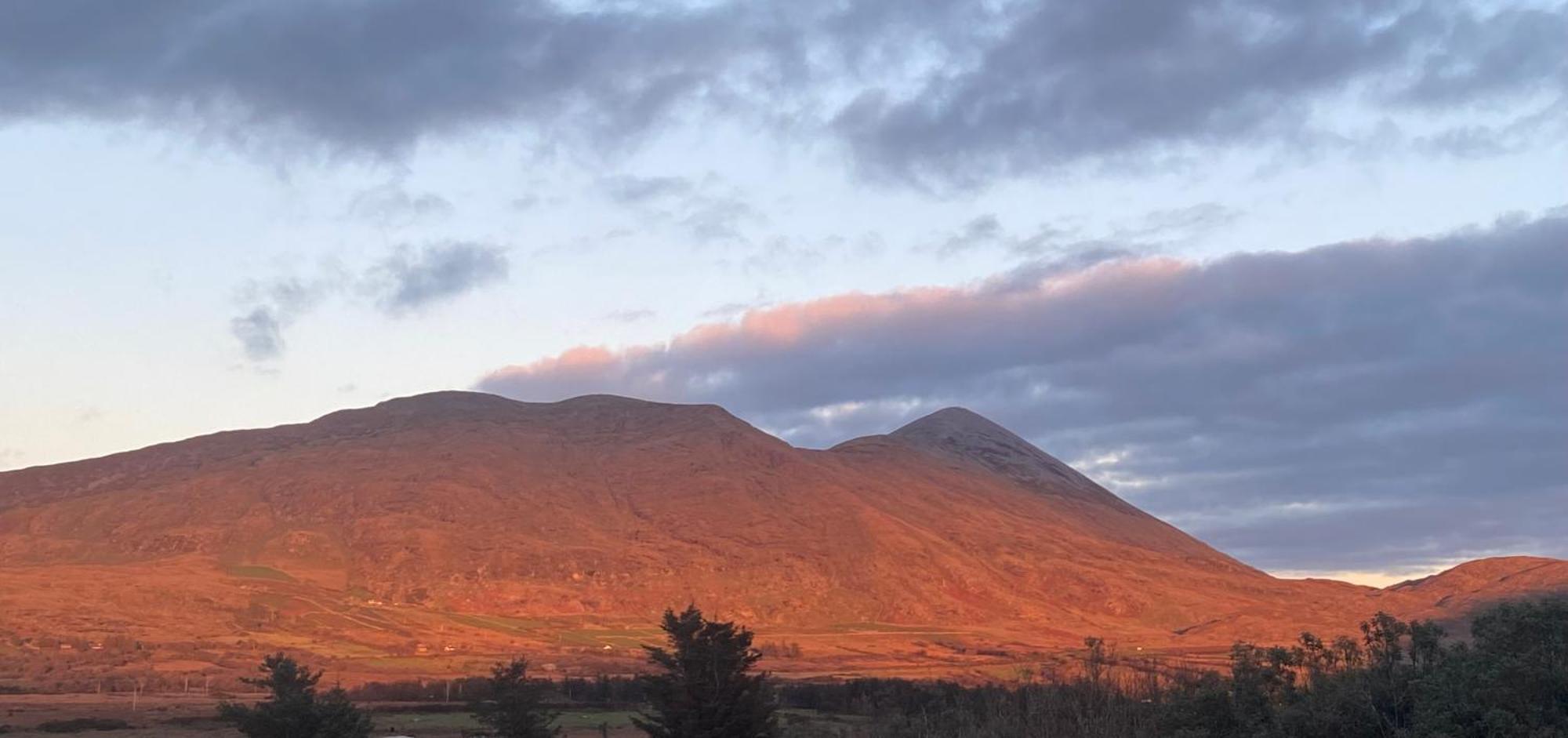 Country Cabin Mullagh  Extérieur photo