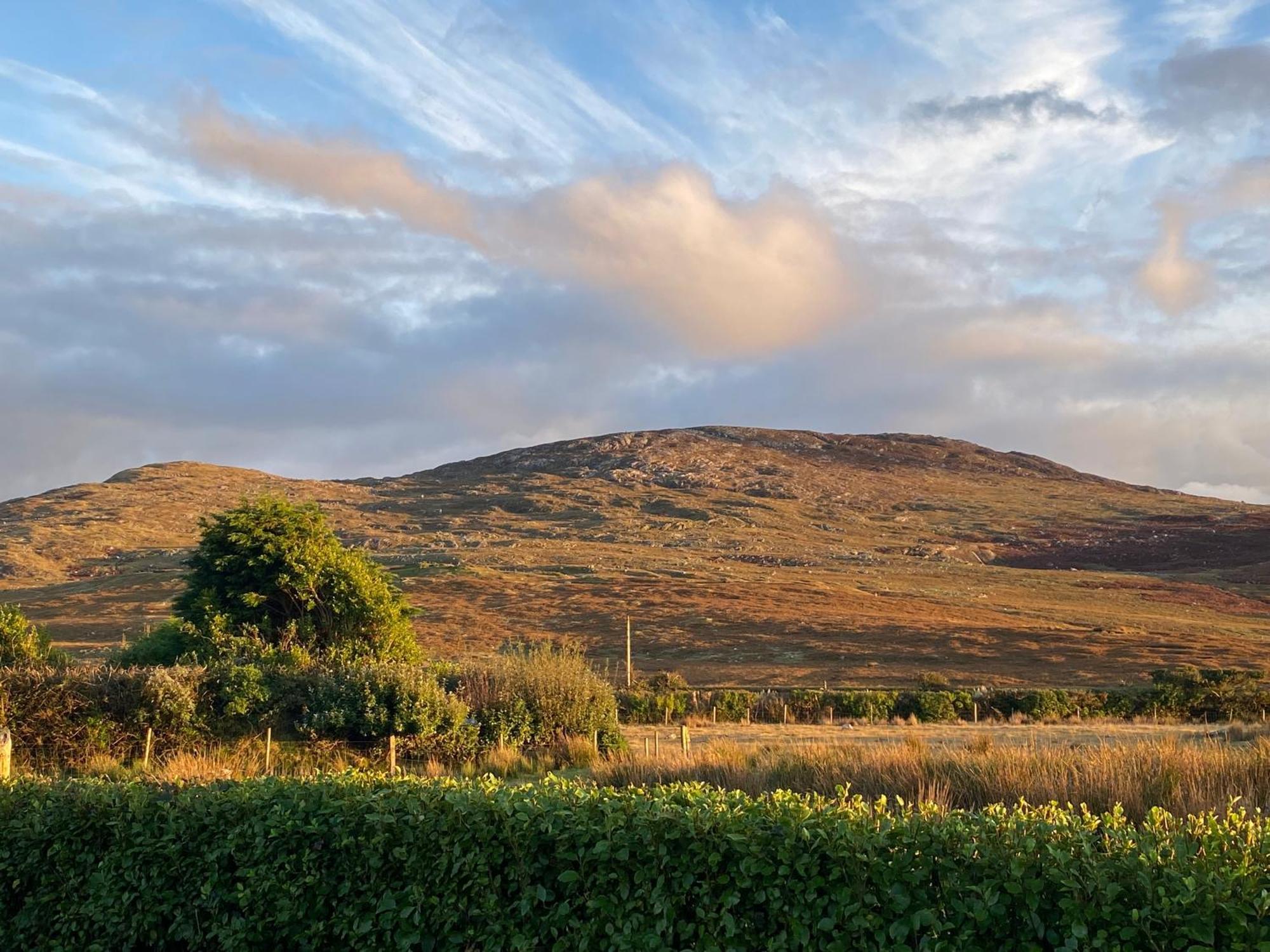 Country Cabin Mullagh  Extérieur photo